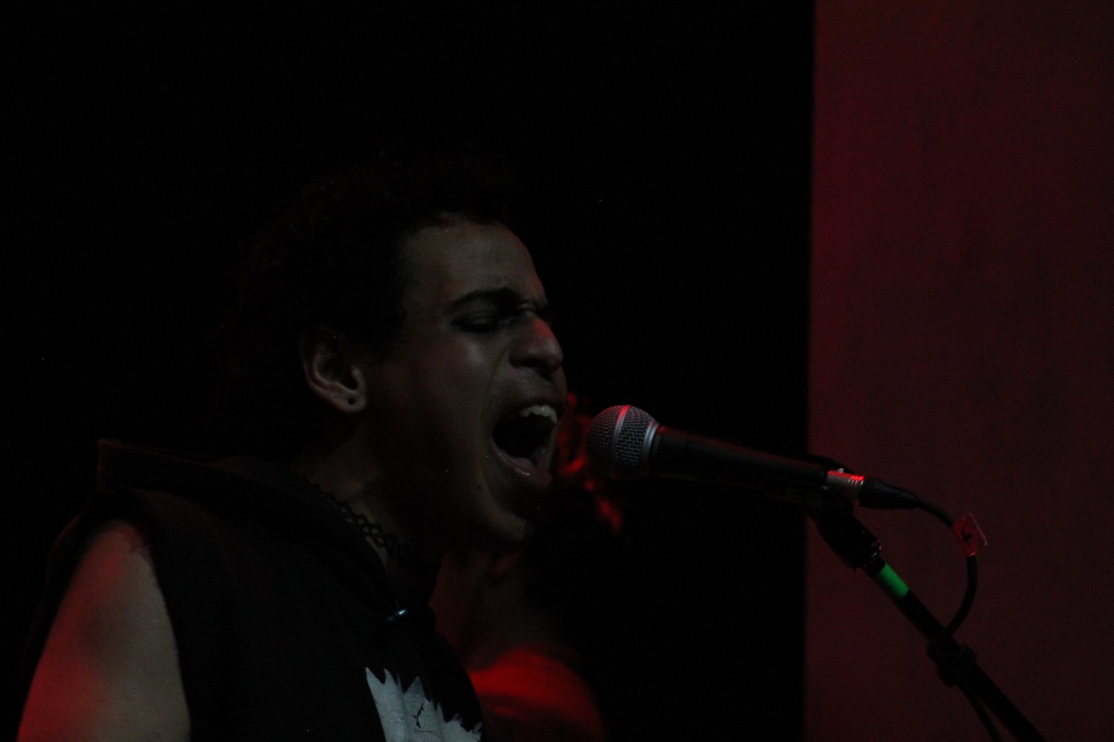 Jesús Ardiles interpretando guitarra rítmica y coros en una presentación en vivo de Daliah Banda.
